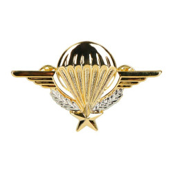 Brevet para chef  de...