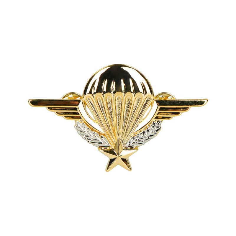 Brevet para chef  de section pin'S