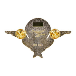 Brevet para chef  de section pin'S