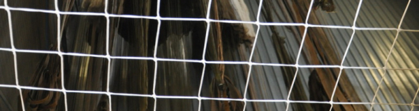 Forum_para_2025_Toulouse__0501