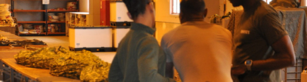 Forum_para_2025_Toulouse__0507